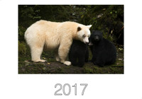 2017