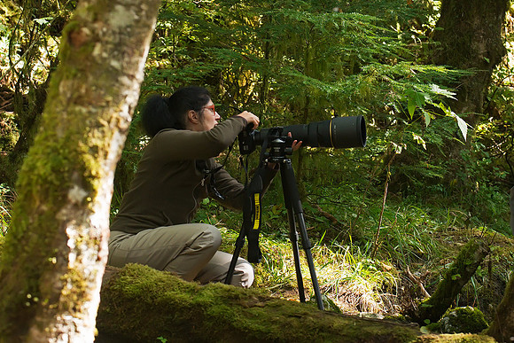 Great Bear Rainforest