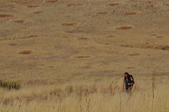 Namib Rand, Namibia